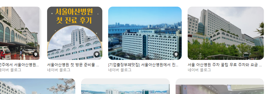 서울아산병원 간호사 취업 가이드|채용 일정부터 지원 자격 경쟁률 초봉 연봉 스펙 지원 자격·면접·전망 정리