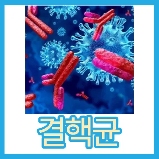 결핵균