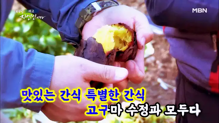 나는 자연인이다 엄마의 이름으로 자연인 김정예 소개 및 윤택 출연 531회 다시보기