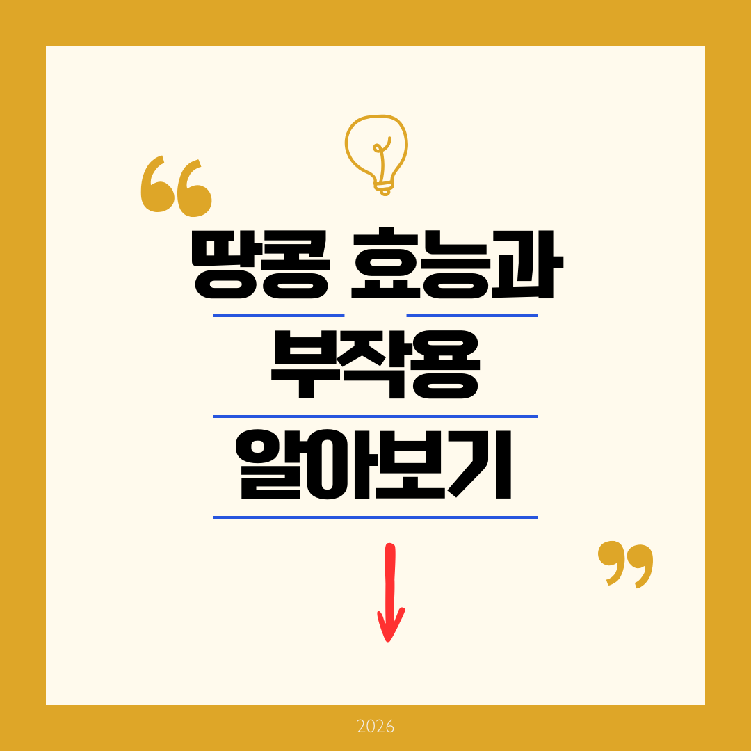 땅콩 효능과 부작용 - 2026년 완벽 가이드 영양성분 및 부작용 총정리