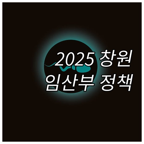 2025 창원시 임산부 영유아 지원 ..