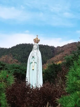 천진암 흰민들레 백양자연관찰로 괭이눈 개화_12