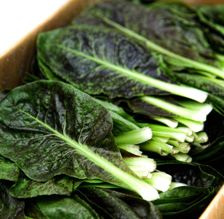 치콘(Chicory), 아삭한 식감과 건강을 담은 채소