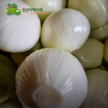 양파 보관법 양파 오래 보관법 3가지 방법_16