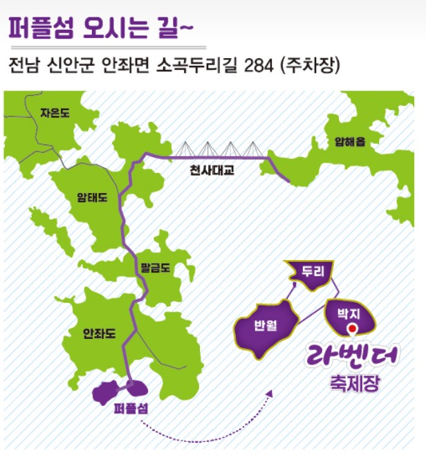 신안 퍼플섬 라벤터 축제 셔틀버스