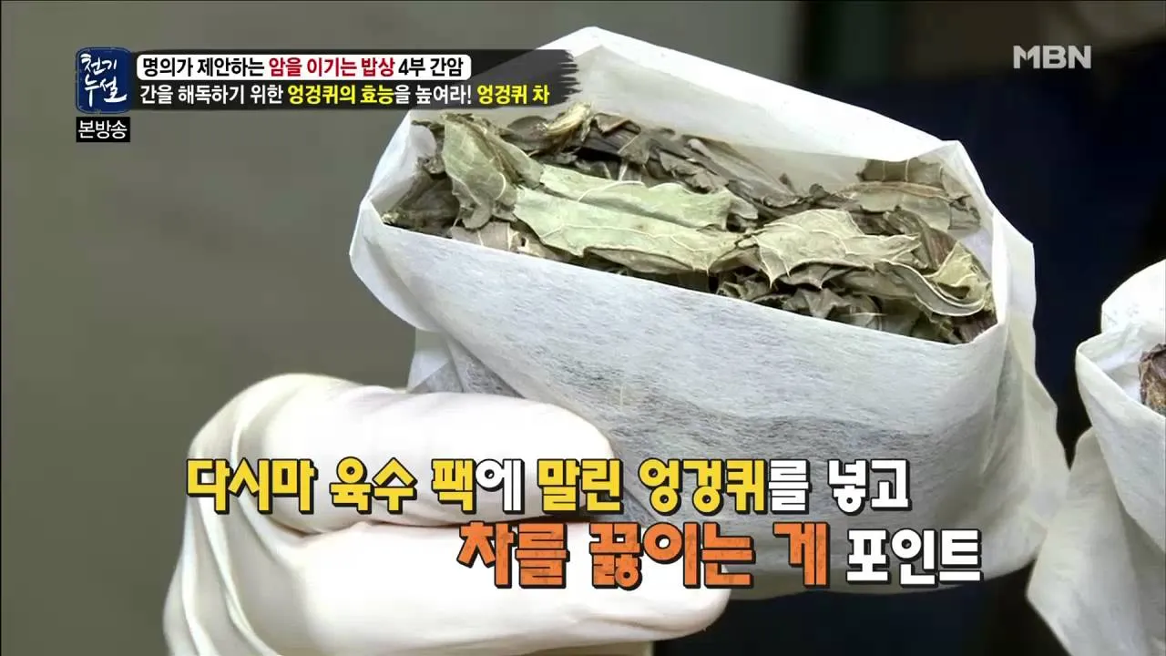 엉겅퀴 먹는법 엉겅퀴 차 마시는 법_1