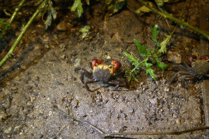 속초 가볼만한곳 테라크랩팜