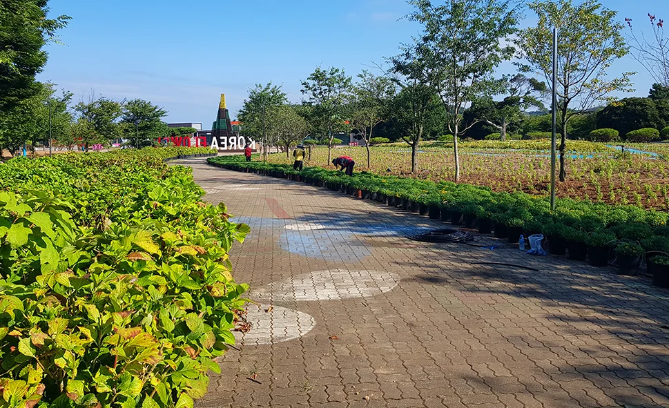 제6회 2023 태안 가을꽃박람회