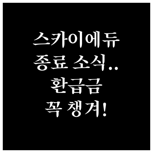 스카이에듀 홈페이지 서비스 종료 현황..