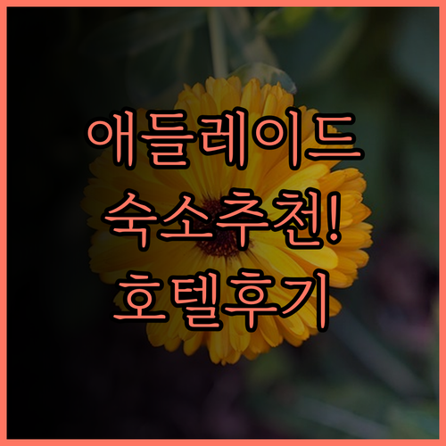 애들레이드 숙소 추천! 마제스틱미니마
