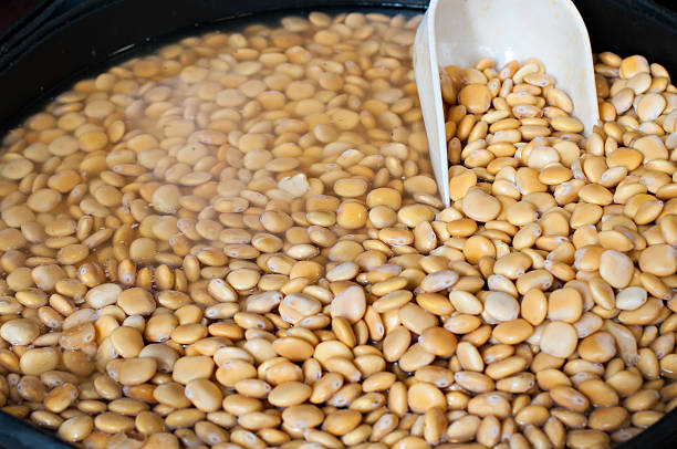 🔥 “루피니빈, 이거 하나면 혈당·다이어트·면역력까지 해결!” 실사용 후기+꿀팁 공개