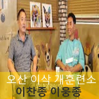 오산 반려견 훈련사 이웅종 이찬종 형제