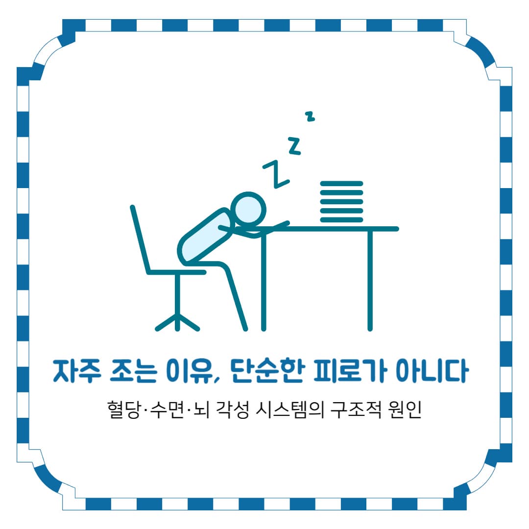 자주 조는 이유, 단순한 피로가 아니다 &ndash; 혈당&middot;수면&middot;뇌 각성 시스템의 구조적 원인