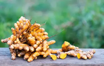 울금 효능 및 영양성분, 부작용과 주의점