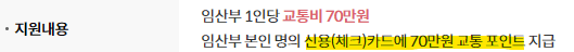 임산부 서울