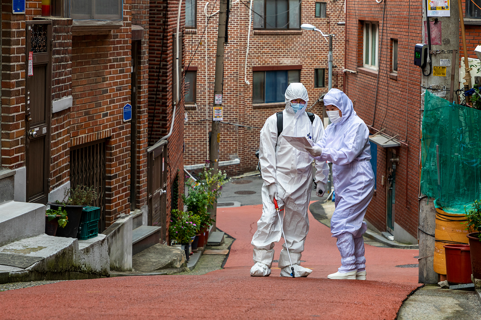 빈대 물린자국 : 빈대 퇴치법, 증상, 예방법