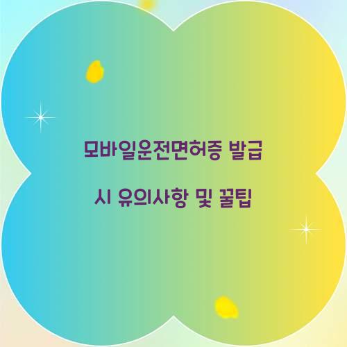 모바일운전면허증