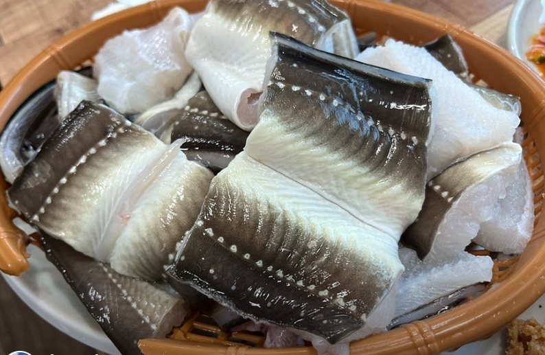 EBS-극한직업-거제도-장승포항-자연산-붕장어-쌍둥이회장어