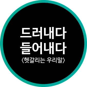 드러내다 들어내다 맞춤법 표현 예문_3