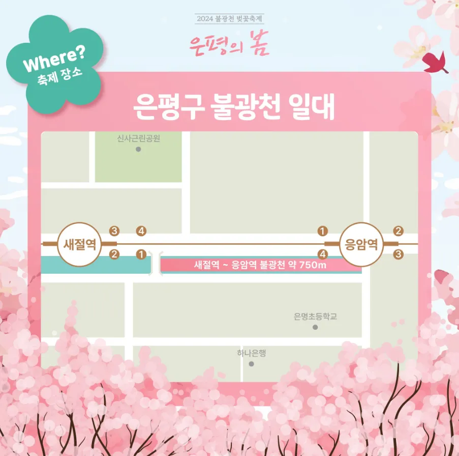 2024 불광천 벚꽃 축제 은평의 봄 장소