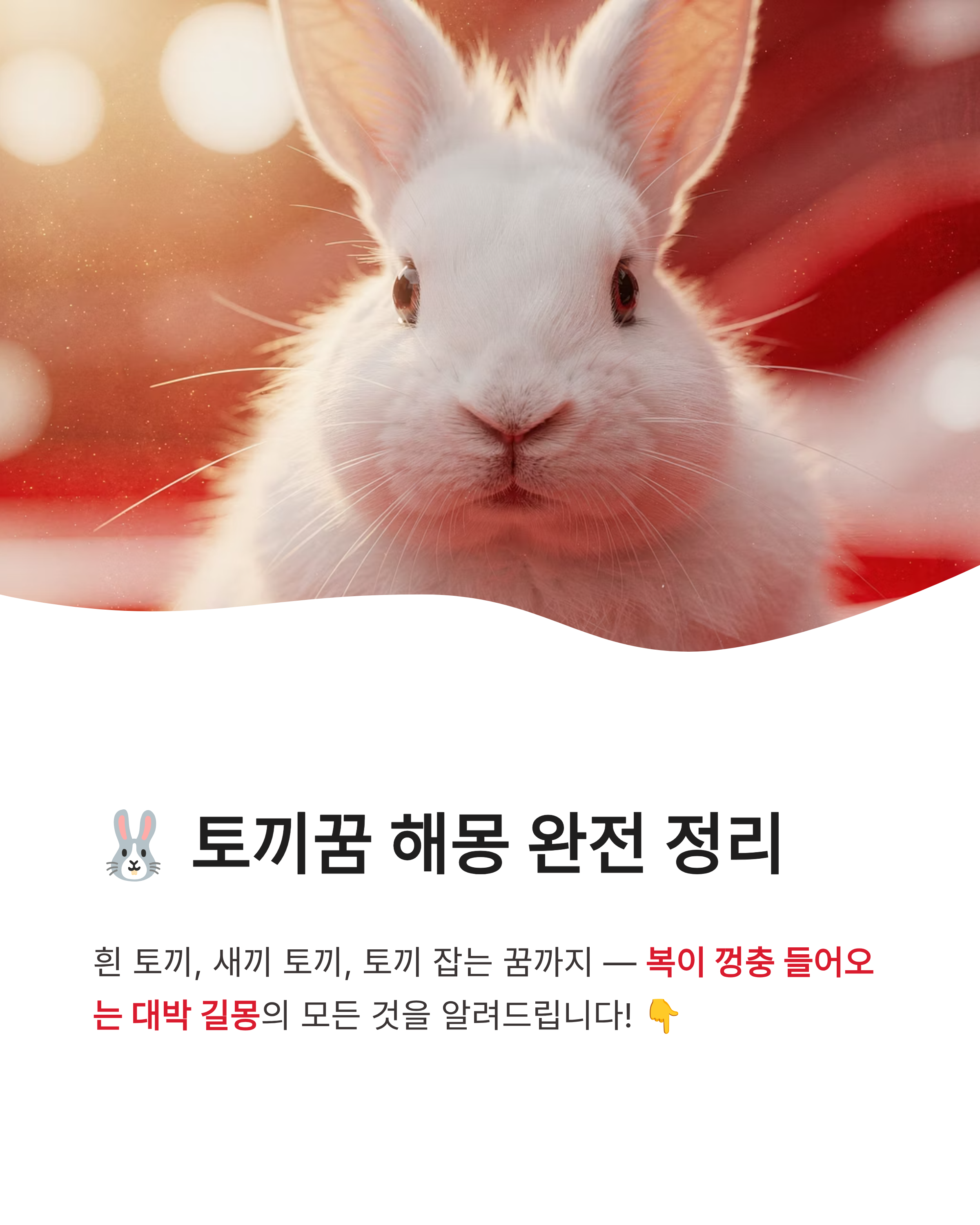 토끼꿈 해몽 흰 토끼 잡는 꿈 새끼 토끼 태몽까지! 복이 껑충 들어오는 대박 징조 총정리