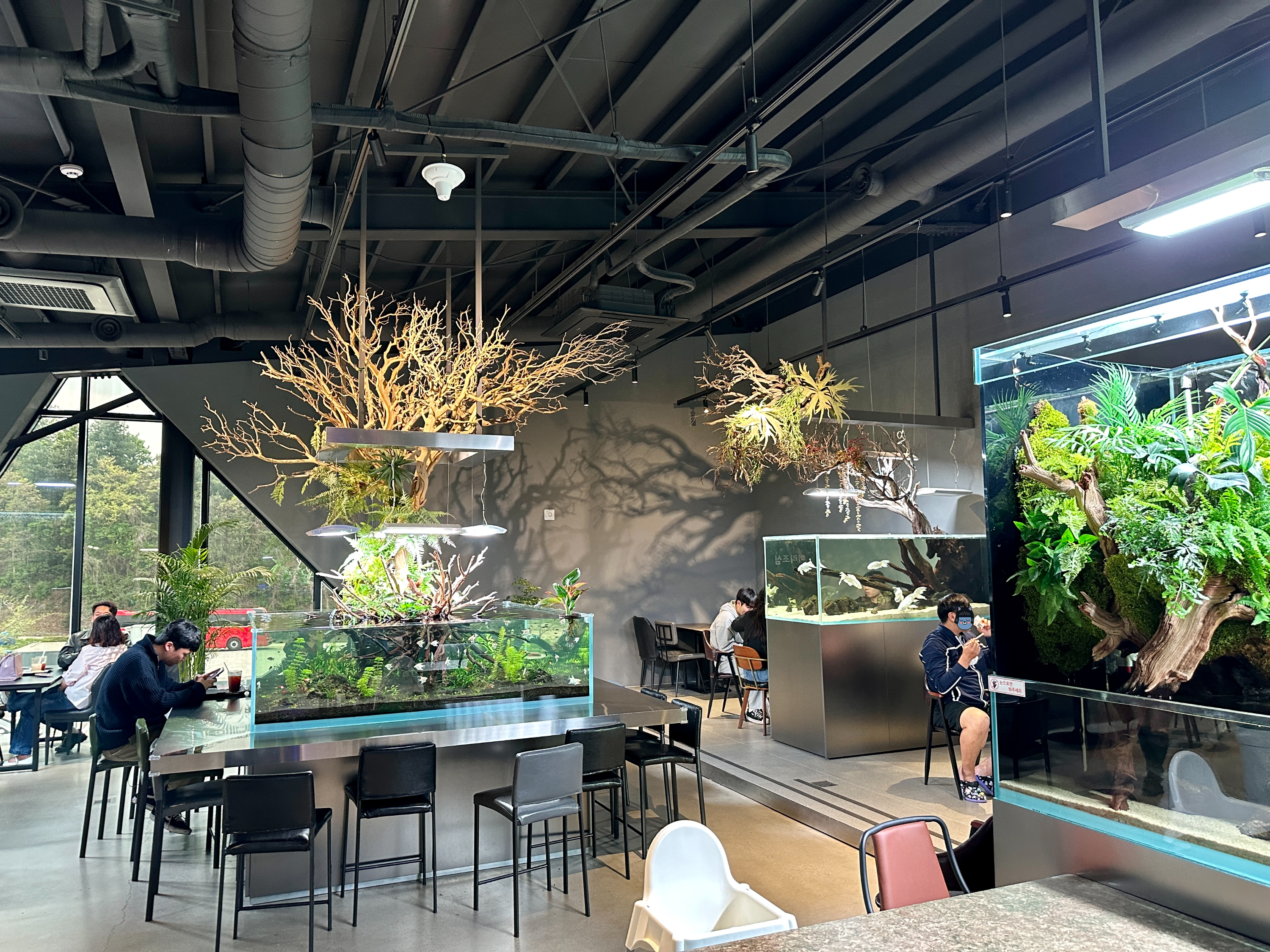 춘천 카페리움 수족관