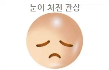 눈이 처진 관상
