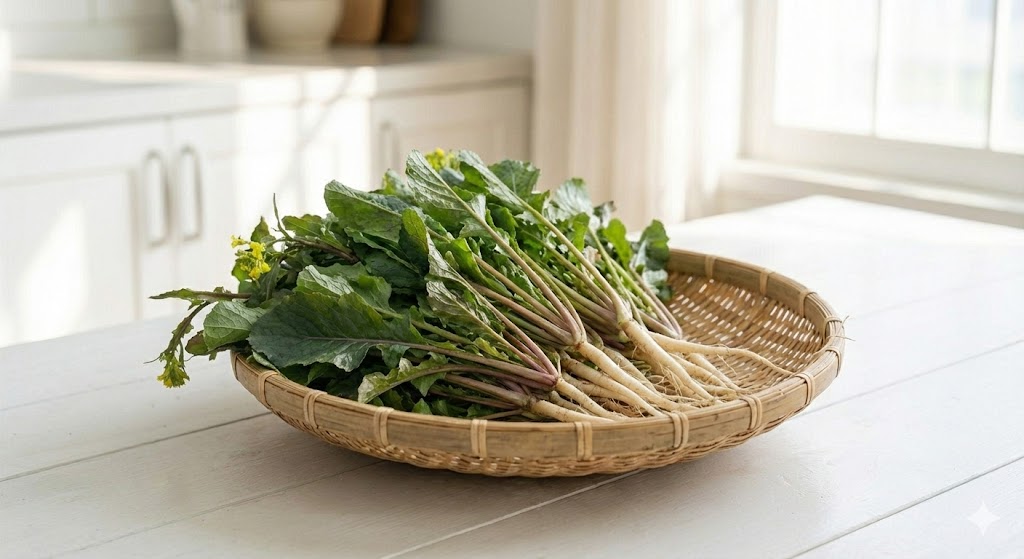 인삼과 맞먹는 사포닌과 천연 인슐린 이눌린이 응축된 고들빼기 뿌리의 간 해독 및 혈당 조절 효능