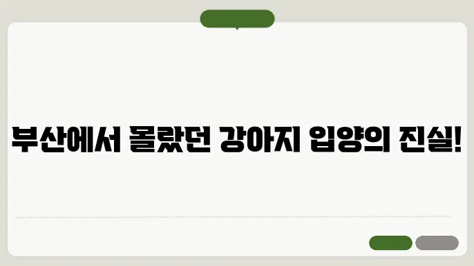 부산 강아지 문화, 입양과 분양에 대한 진실