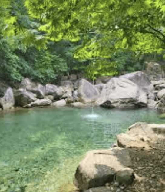 검태오남매