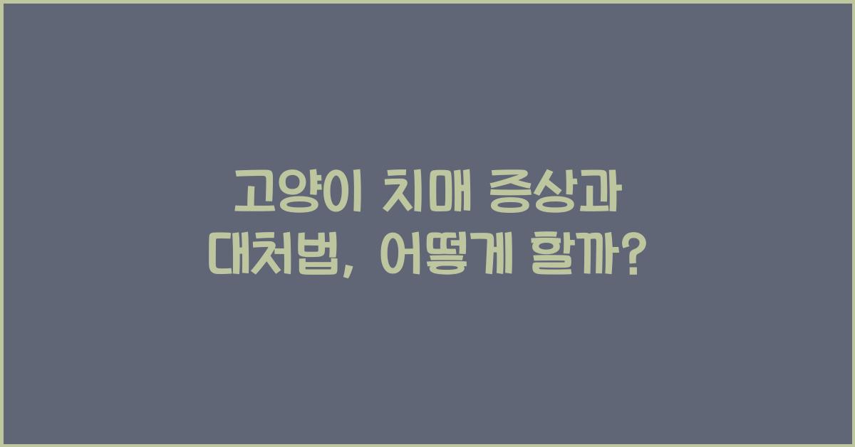 고양이 치매 증상과 대처법