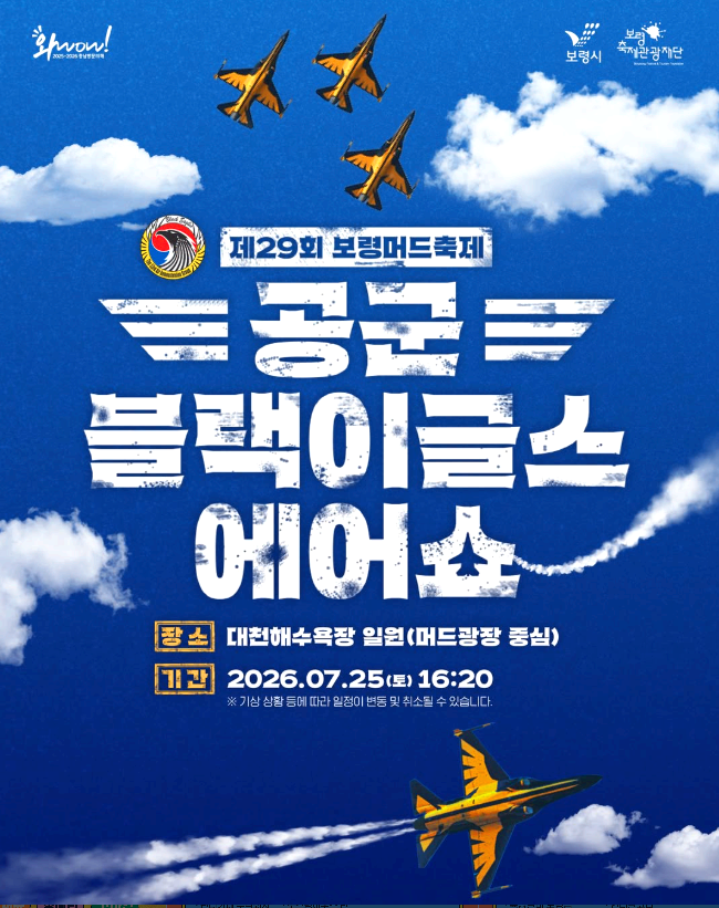보령머드축제