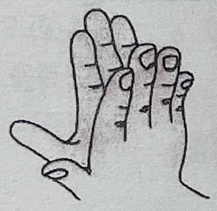 손가락-제외-하고-손바닥-부분-맞대고-있는-양손