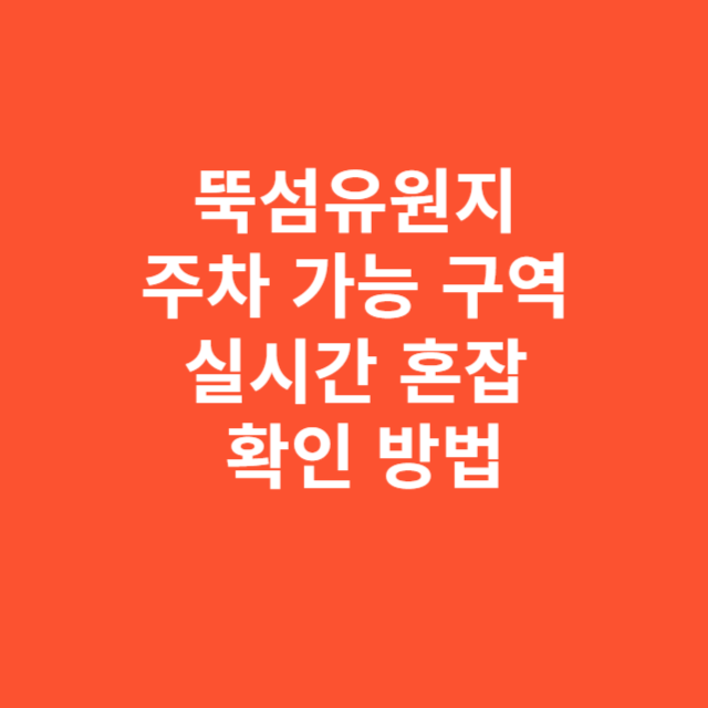 뚝섬유원지 주차 가능 구역과 실시간 혼잡도 확인 방법
