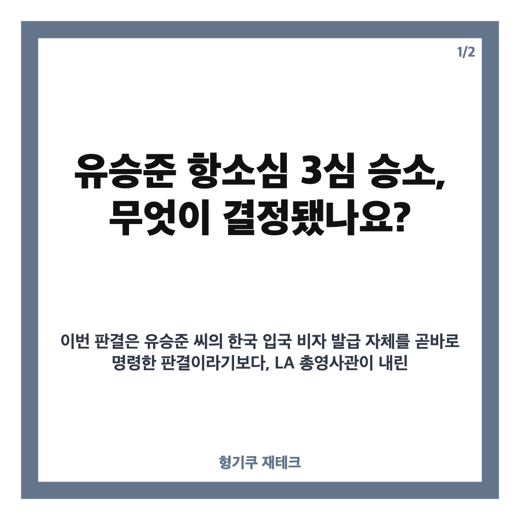 유승준 항소심 3심 승소, 세 번째 비자 소송 법원 판단 정리 카드뉴스 1