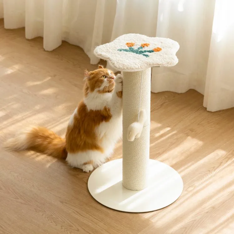 &amp;quot;고양이