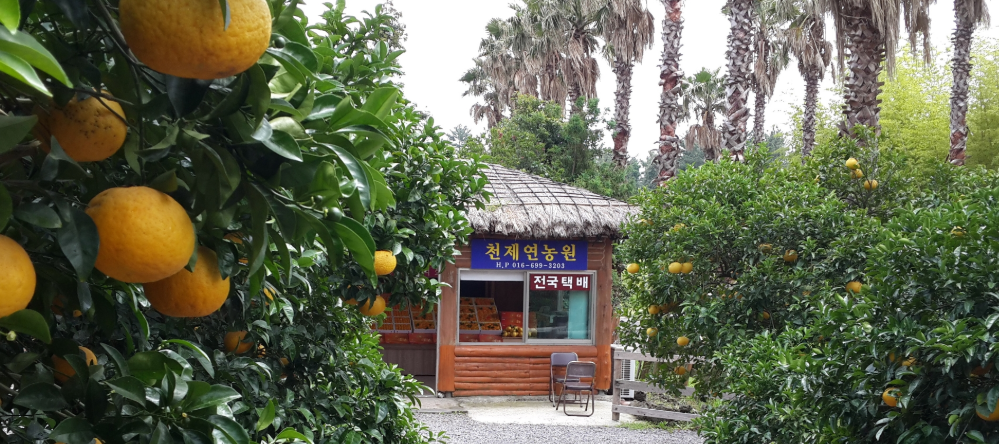 천제연농원 이미지