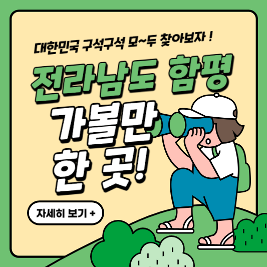 전라남도 함평 가볼만한 곳
