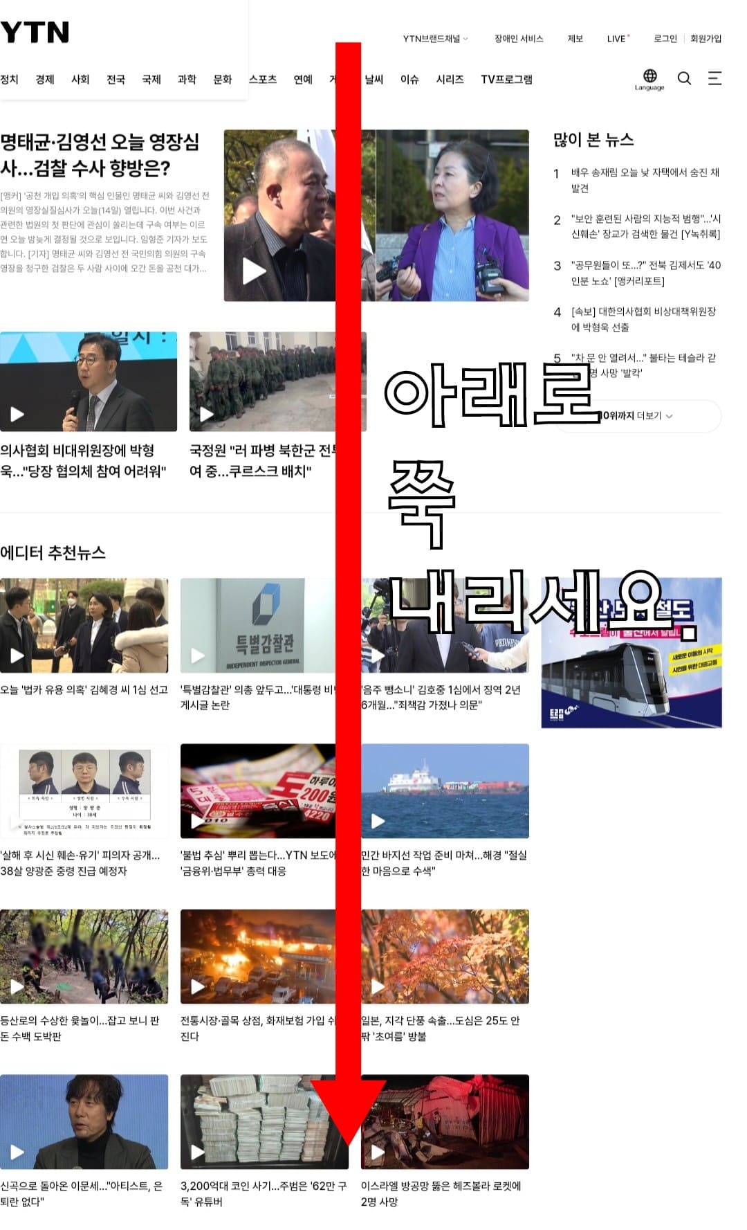 YTN-편성표-및-채널번호-안내-다시-메인-페이지에서-아래로-쭉-스크롤을-합니다.