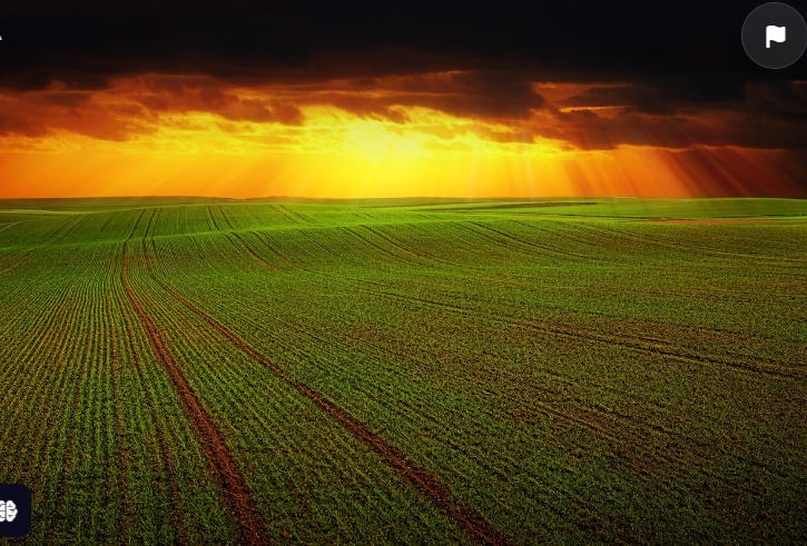 스마트 온실 시스템: 미래 농업을 혁신하는 기술