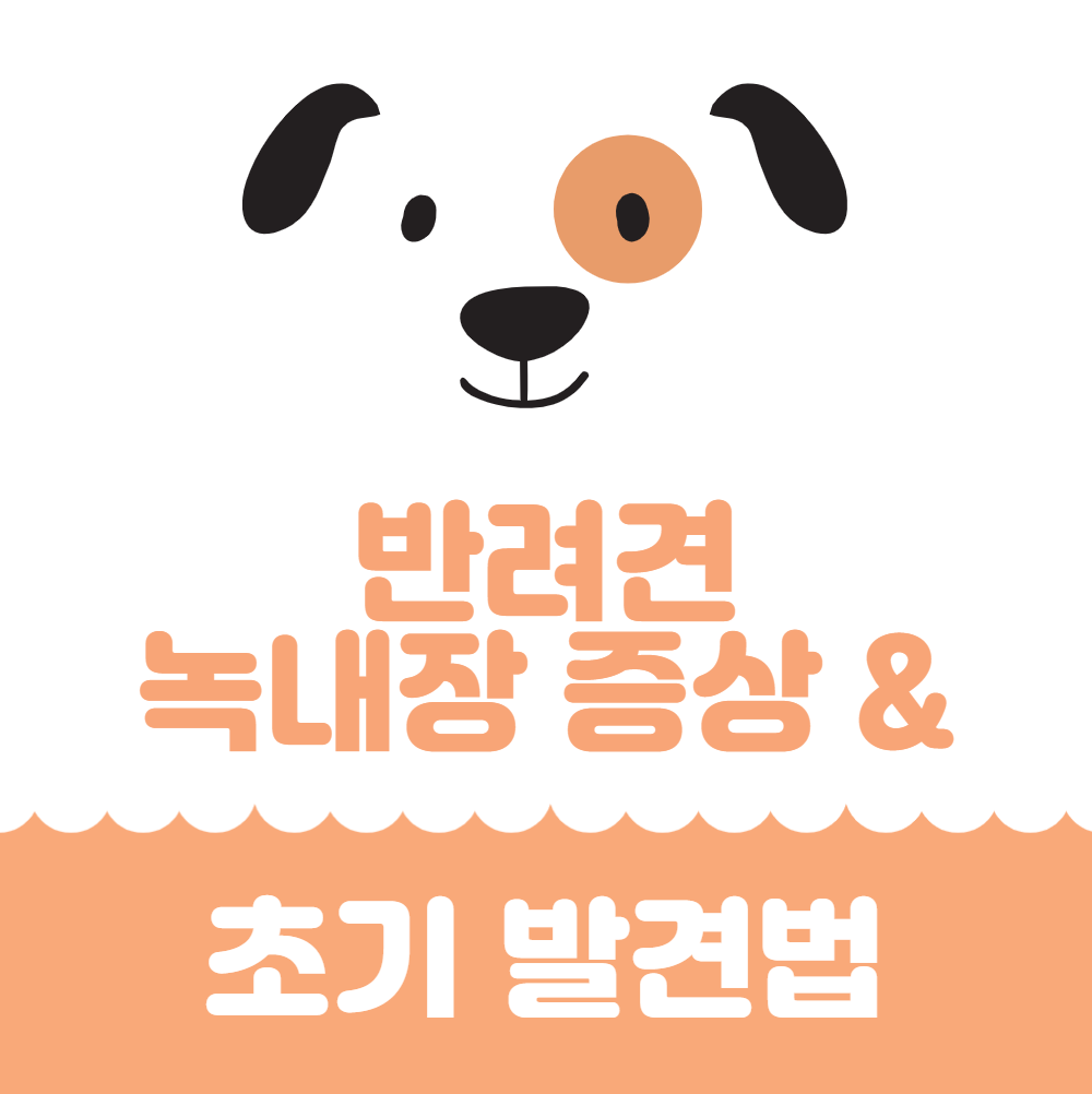 반려견-녹내장-증상과-초기-발견법