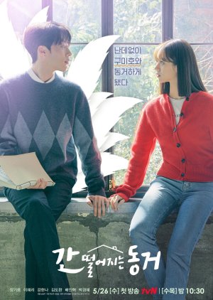 구미호 관련 드라마 간 떨어지는 동거 다시보기 추천