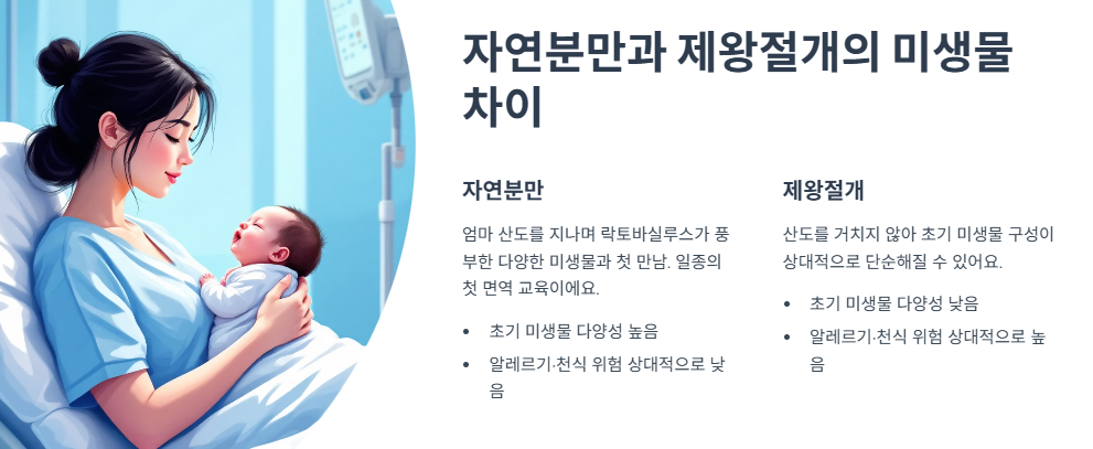 자연분만과 제왕절개의 미생물 차이