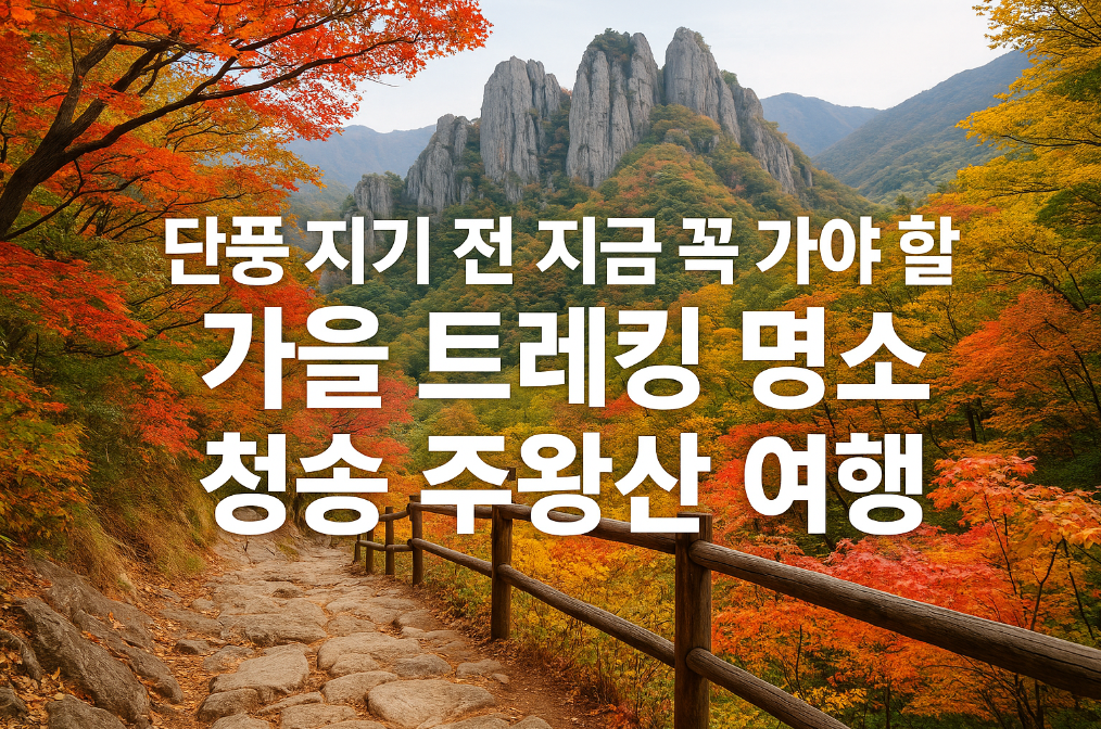 단풍 절정 전 마지막 기회! 청송 주왕산 가을 트레킹 완벽 가이드