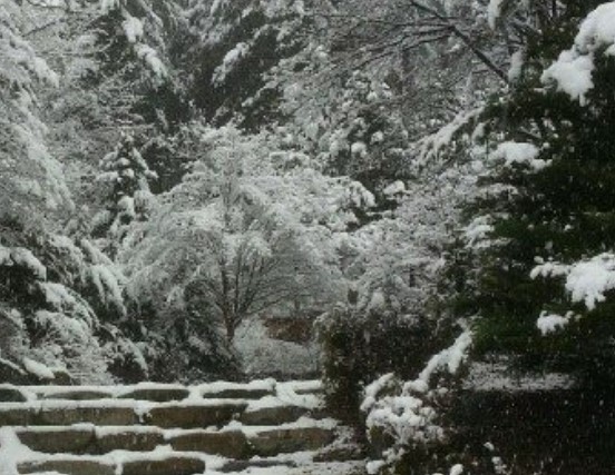 서운산 자연휴양림 숲나들e 국내 여행지 추천 관련사진