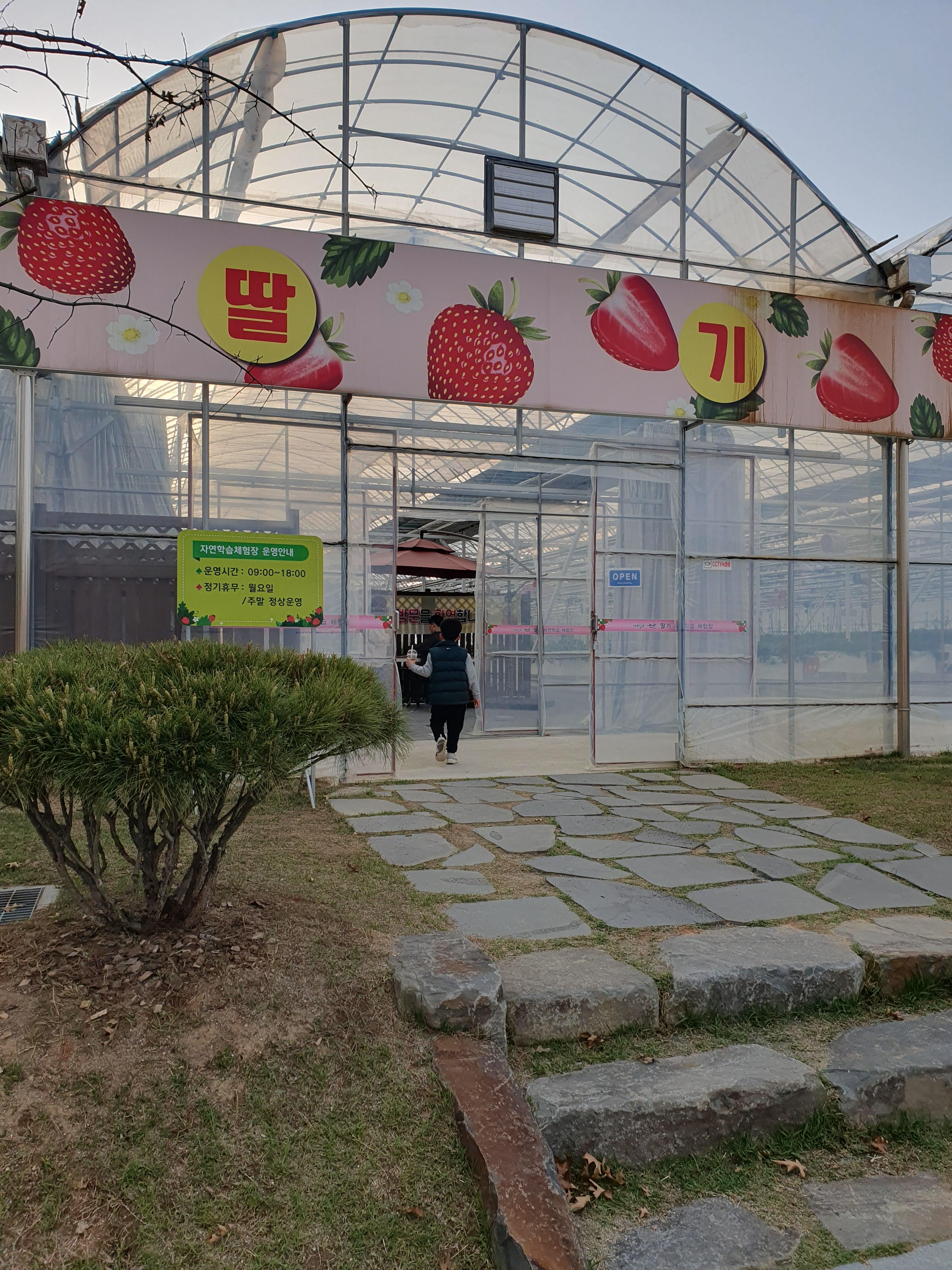 논산 딸기테마공원 딸기 자연학습 체험장 입장