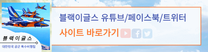 블랙이글스 관련 사이트