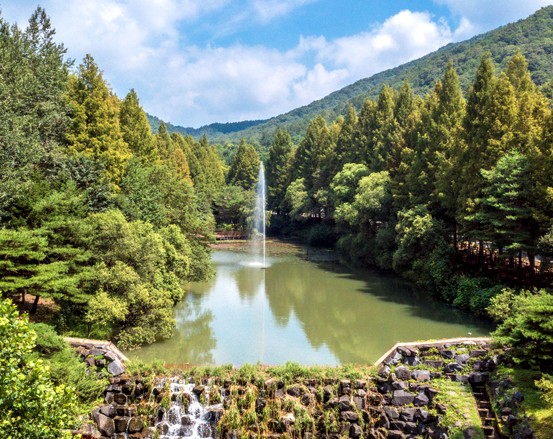 미동산수목원 1 