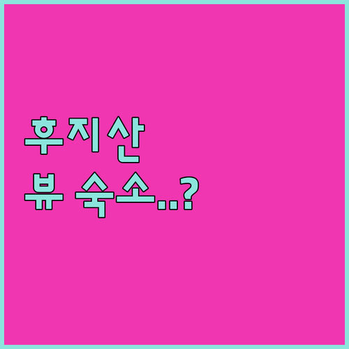 야마나카 호수 뷰 후지산 숙소 5곳 ..