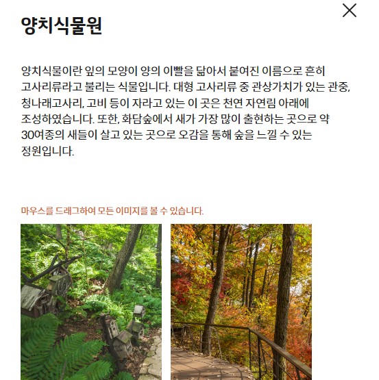 양치식물원